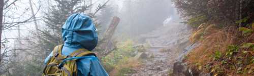 Illustration du blog