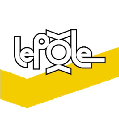 Le Pôle de coopération pour la filière musicale en Pays de la Loire